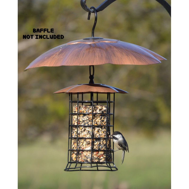 Songbird Essentials Log Suet Bird Feeder Wayfair.ca